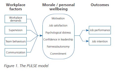 Figure 1. The PULSE model