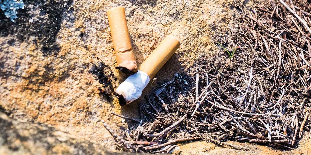 Influencing environmentally responsible behaviour