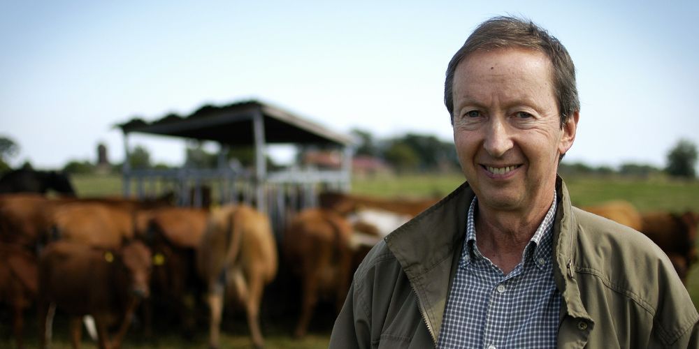 Male farmer standing in front of cattle