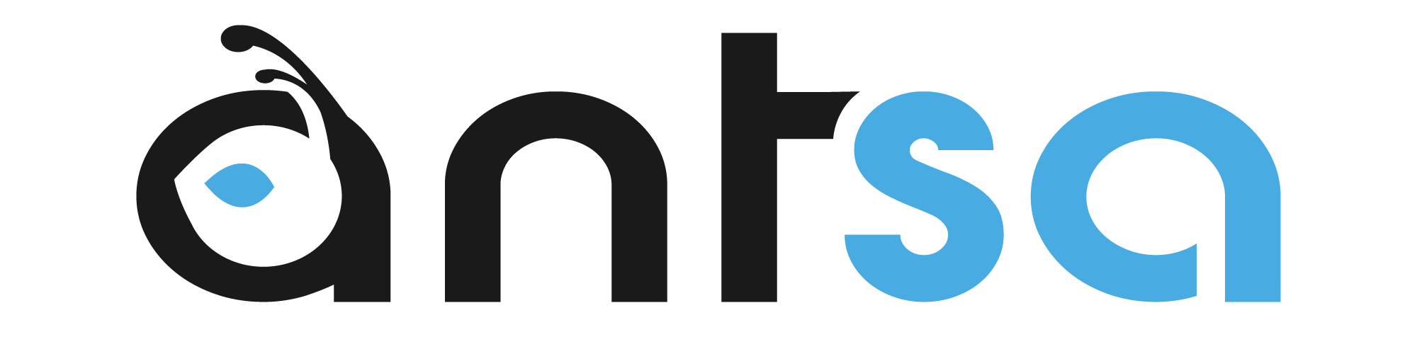 antsa wordmark horizontal logo