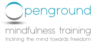 Organiser Logo